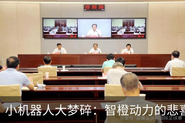 小机器人大梦碎：智橙动力的悲喜剧